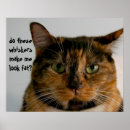 Sök efter se posters Katt