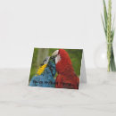 Sök efter macaws kort Fåglar