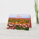 Sök efter roliga påskkort För alla