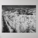Sök efter adam posters Tuscany