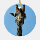 Sök efter rolig giraff julgransprydnader För alla