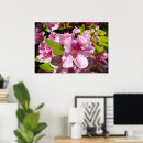 Sök efter azalea posters Natur