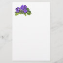 Sök efter afrikansk violet Blomma
