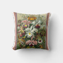 Sök efter ernst kuddar Haeckel