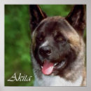 Sök efter akita konst Söt
