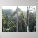 Sök efter rainforest posters Djungel