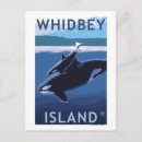 Sök efter whidbey Stater
