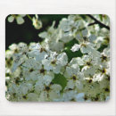 Sök efter blomstrar musmattor Blommigt