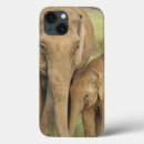 Sök efter vild ipad skal Elefant