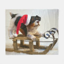 Sök efter sled Julmas