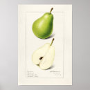 Sök efter pear posters Frukt