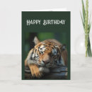 Sök efter humor stora födelsedagskort Grattis på födelsedagen