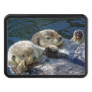 Sök efter utter uttrar Hav