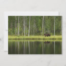 Sök efter finland kort Skog