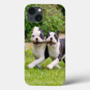 Sök efter lekar iphone fodral Roligt