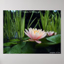 Sök efter lillies posters Blomma
