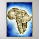 Sök efter afrikansk kontinent posters Djungel