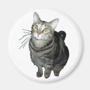 Sök efter kattmagnet Tabby