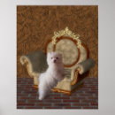 Sök efter maltese hund posters Valpar