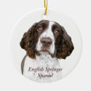 Sök efter springer spaniel heminredning Jul