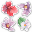 Sök efter röd orchid Blommor