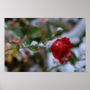 Sök efter snow posters Landscape
