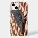 Sök efter duva iphone fodral Duvor