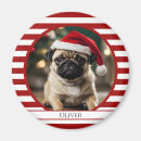 Sök efter med candy cane magneter För alla
