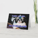 Sök efter min shih tzu kort Rolig