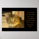Sök efter gato posters Katter