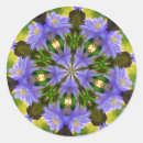 Sök efter clematis klistermärken Blomma
