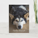 Sök efter husky kort Personlig