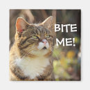 Sök efter bitor magneter Katt