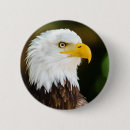 Sök efter örn knappar Patriotisk
