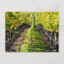 Sök efter napa valley Falla