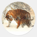 Sök efter ungar klistermärken Tiger
