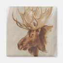 Sök efter elk magneter Natur