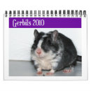 Sök efter gerbils Rodent