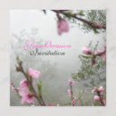 Sök efter harmoniskt Rosa
