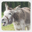 Sök efter åsna klistermärken Djur