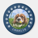 Sök efter tribute magneter Hund