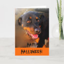 Sök efter happy halloween Djur