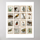 Sök efter svamp konst För henne