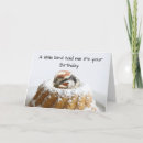 Sök efter roliga hönor kort Roligt