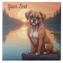 Sök efter boxer hund heminredning Hundar