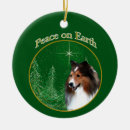 Sök efter shetland sheepdogs Sheltie