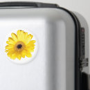 Sök efter gerber magneter Daisy