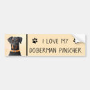 Sök efter rostat bildekaler Dobermann