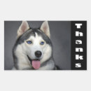 Sök efter husky klistermärken Valp