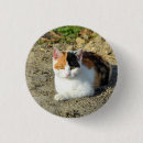 Sök efter huskatt accessoarer Kattdjur